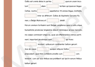 Lückentext zum Film Caius Iulius Caesar, Commentarii de bello Gallico